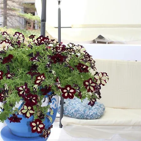 Aegean Dreams Flat