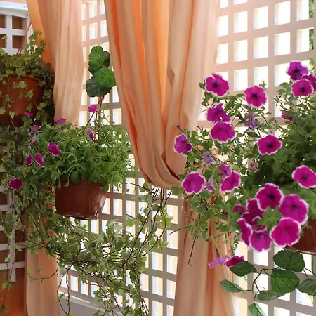 Aegean Dreams Flat Apartment Chania (Crete)
